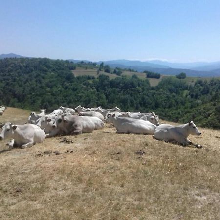 Residenza Anastasia Ceva Bagian luar foto