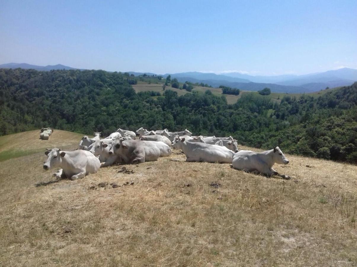 Residenza Anastasia Ceva Bagian luar foto