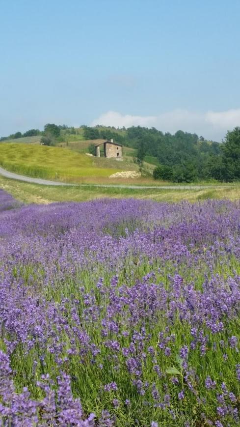 Residenza Anastasia Ceva Bagian luar foto