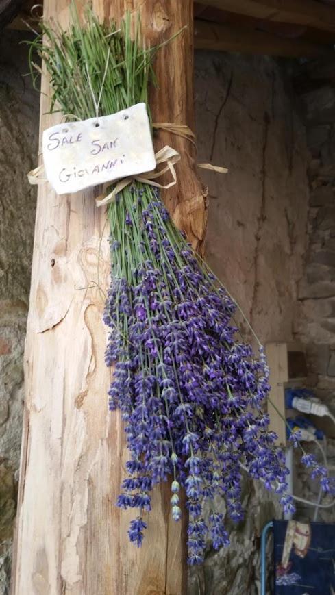 Residenza Anastasia Ceva Bagian luar foto